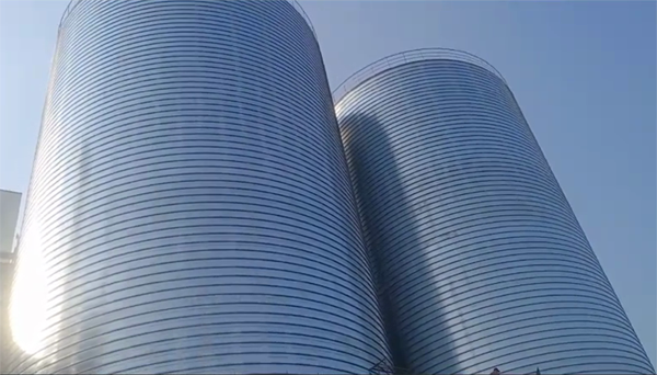 永仁2座混凝土高架卷板仓